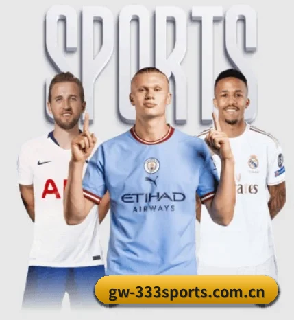 了解平台 - 体育资讯内容服务 - 333SPORTS